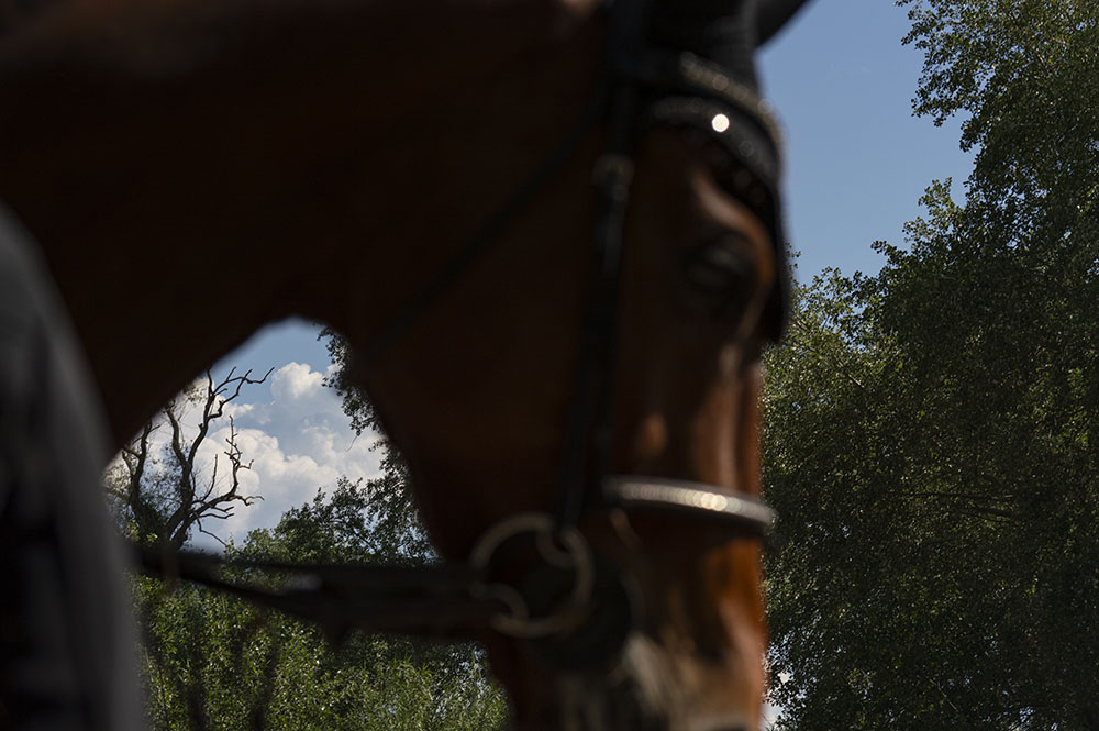 Andrea Martini | Corso base 2025