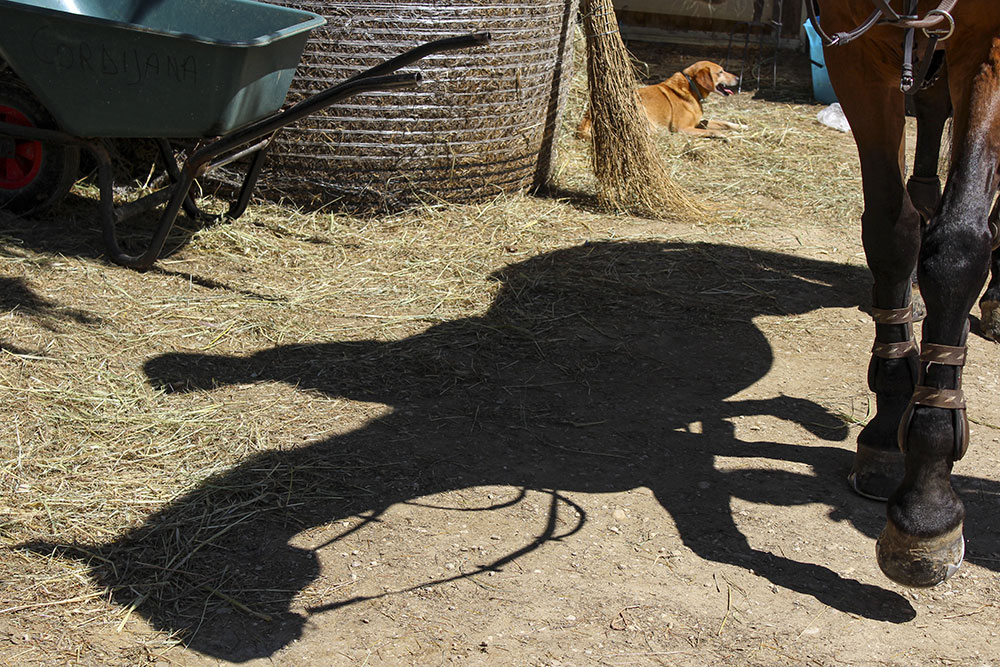 Nadia Petrongolo | Corso base 2025