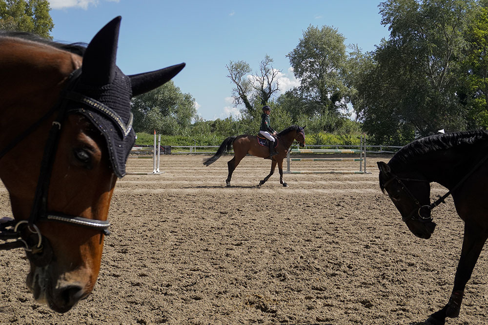 Mauro Di Matteo | Corso base 2018