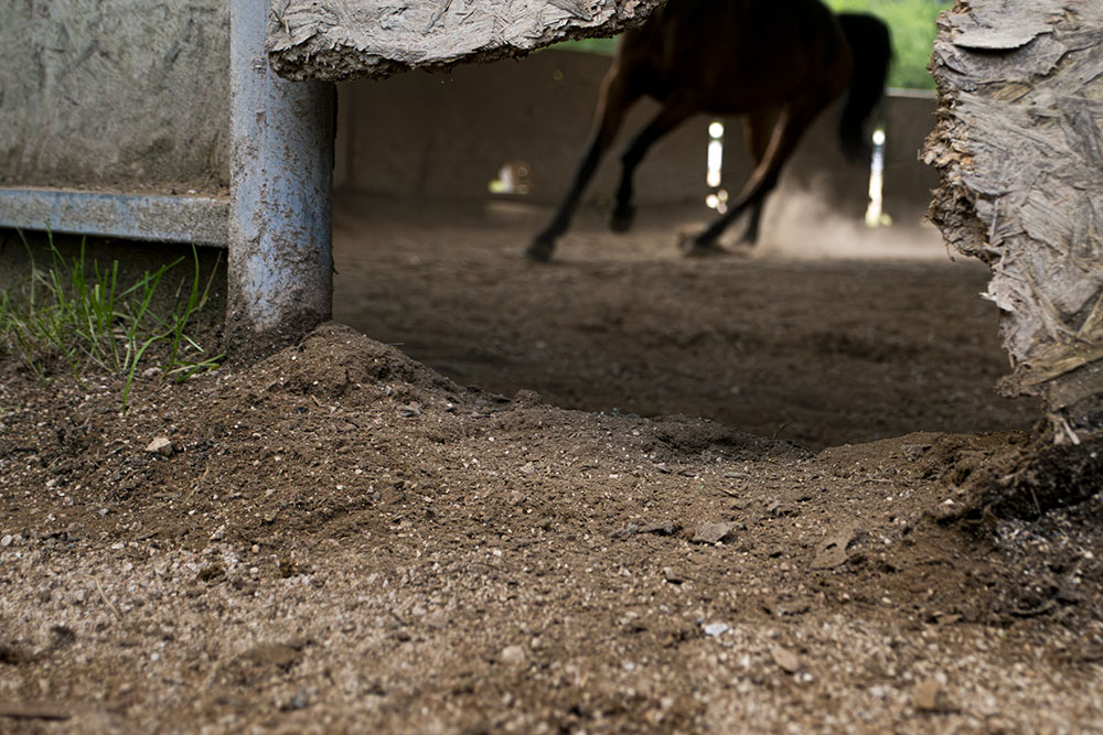 Danilo Romagnoli | Corso base 2015